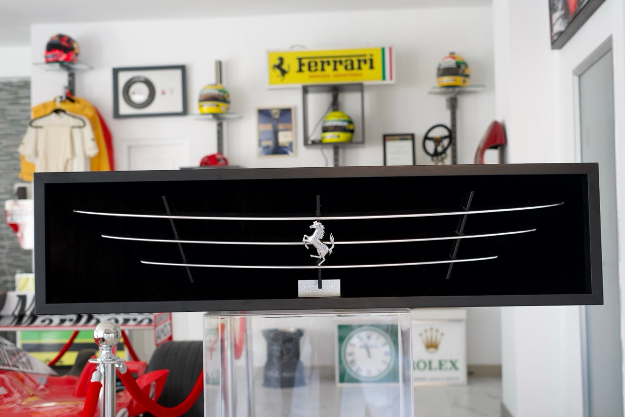 Ferrari California Spyder Front Grill